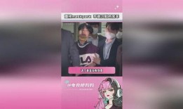 maskpark事件,科技巨头隐私争议背后的真相